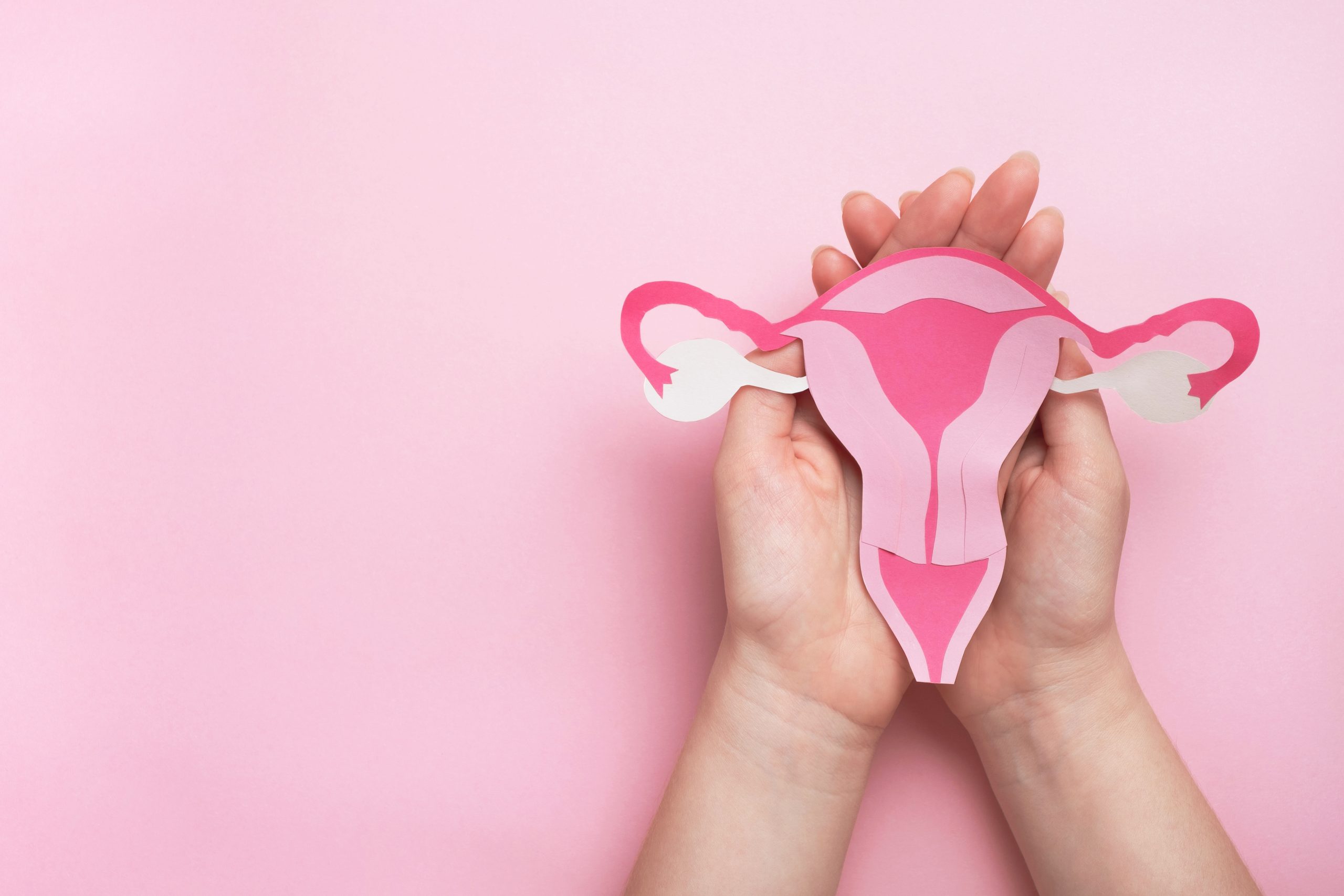Women’s health, gynecology and reproductive system concept. Woman hands holding decorative model uterus on pink background. Top view, copy space